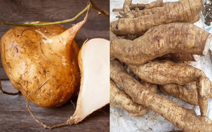 Củ Sắn Dây Và Củ Khoai Mì: So Sánh Chi Tiết Ưu Nhược Điểm Củ Sắn Dây Và Củ Khoai Mì: So Sánh Chi Tiết Ưu Nhược Điểm