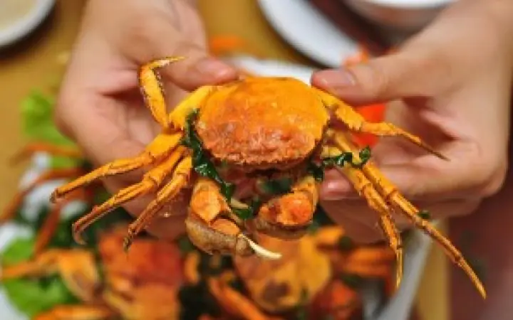 Cua Cà Ra Thái Bình: Đặc Sản Sông Nước Và Bí Quyết Thưởng Thức Cua Cà Ra Thái Bình: Đặc Sản Sông Nước Và Bí Quyết Thưởng Thức