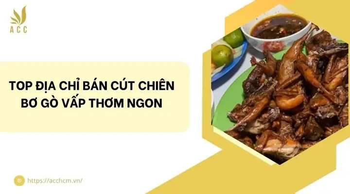 Đánh Giá Chi Tiết Cút Chiên Bơ Gò Vấp: 3 Địa Chỉ Nổi Tiếng Nhất Đánh Giá Chi Tiết Cút Chiên Bơ Gò Vấp: 3 Địa Chỉ Nổi Tiếng Nhất
