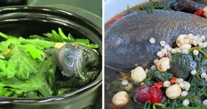 Gà Hầm Ngải Cứu: Tác Dụng Vàng Cho Sức Khỏe Phụ Nữ Và Cách Làm Chuẩn Gà Hầm Ngải Cứu: Tác Dụng Vàng Cho Sức Khỏe Phụ Nữ Và Cách Làm Chuẩn