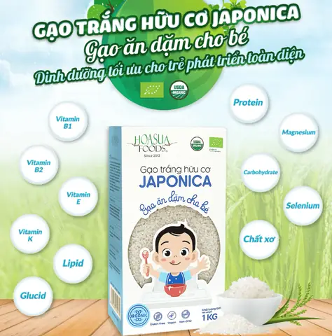 Bí Quyết Chọn Gạo Cho Bé Ăn Dặm Giúp Trẻ Hay Ăn Chóng Lớn Bí Quyết Chọn Gạo Cho Bé Ăn Dặm Giúp Trẻ Hay Ăn Chóng Lớn