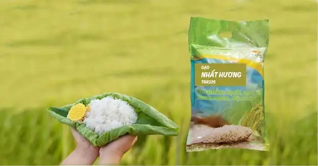 Cách Chọn Gạo Nấu Cháo Cho Bé Thơm Ngon Và Giàu Dinh Dưỡng Nhất