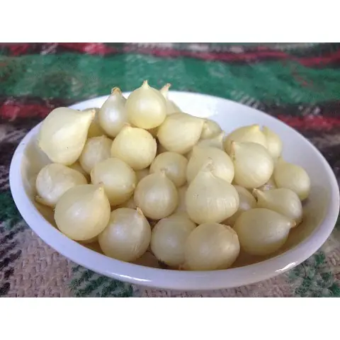 Hành Tăm Kỵ Với Gì? Cẩm Nang An Toàn Thực Phẩm Và Những Đại Kỵ Cần Tránh Hành Tăm Kỵ Với Gì? Cẩm Nang An Toàn Thực Phẩm Và Những Đại Kỵ Cần Tránh
