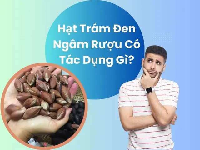 Hạt Trám Đen Ngâm Rượu Có Tác Dụng Gì? Cẩm Nang Sức Khỏe Toàn Tập Hạt Trám Đen Ngâm Rượu Có Tác Dụng Gì? Cẩm Nang Sức Khỏe Toàn Tập