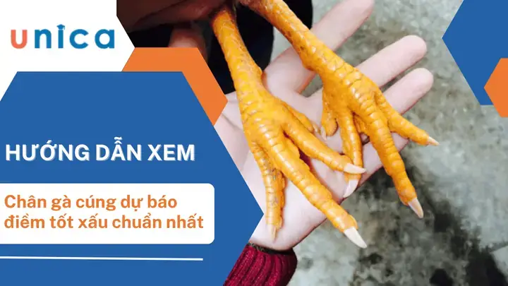 Chân Gà Cúng Đẹp: Tiêu Chí Chuẩn Và Hướng Dẫn Chuẩn Bị Chi Tiết Chân Gà Cúng Đẹp: Tiêu Chí Chuẩn Và Hướng Dẫn Chuẩn Bị Chi Tiết