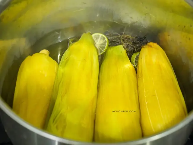 Tuyển Tập Hình Ảnh Ngô Nếp Luộc Dẻo Ngon Và Bí Quyết Luộc Chuẩn Tuyển Tập Hình Ảnh Ngô Nếp Luộc Dẻo Ngon Và Bí Quyết Luộc Chuẩn