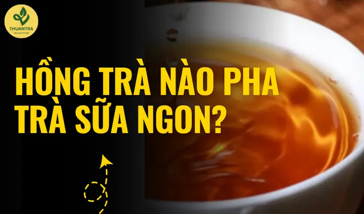 Hồng Trà Nào Pha Trà Sữa Ngon Hồng Trà Nào Pha Trà Sữa Ngon