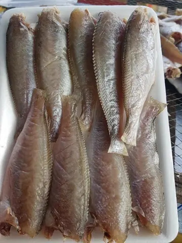 Bí Quyết Chọn Và Chế Biến Khô Cá Đù Một Nắng Ngon Chuẩn Vị Bí Quyết Chọn Và Chế Biến Khô Cá Đù Một Nắng Ngon Chuẩn Vị
