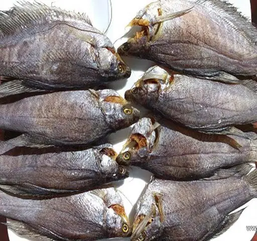 Khô Cá Sặc 1 Nắng: Bí Quyết Chọn Loại Ngọt Thịt, Dai Ngon Và Hướng Dẫn Chế Biến Chuẩn Vị Khô Cá Sặc 1 Nắng: Bí Quyết Chọn Loại Ngọt Thịt, Dai Ngon Và Hướng Dẫn Chế Biến Chuẩn Vị