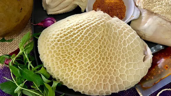 Lá Sách Bò Là Gì? Hướng Dẫn Sơ Chế & Nấu Ăn Chi Tiết Lá Sách Bò Là Gì? Hướng Dẫn Sơ Chế & Nấu Ăn Chi Tiết