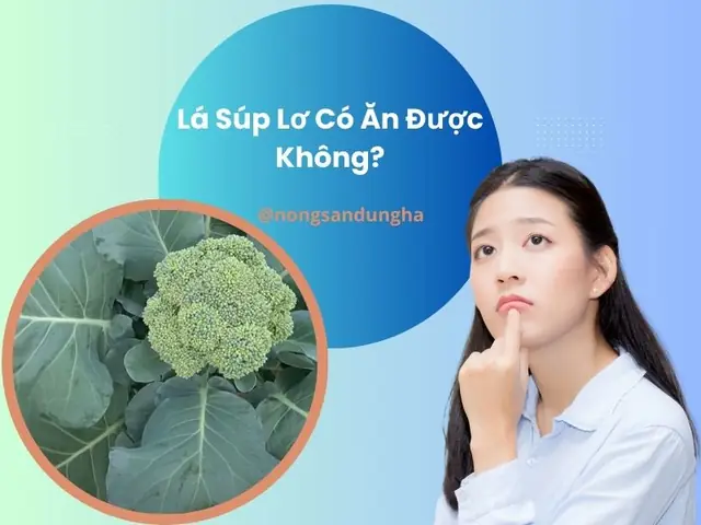 Lá Súp Lơ Có Ăn Được Không? Bí Quyết Biến Phần Rau Bỏ Phí Thành Món Ngon Lá Súp Lơ Có Ăn Được Không? Bí Quyết Biến Phần Rau Bỏ Phí Thành Món Ngon