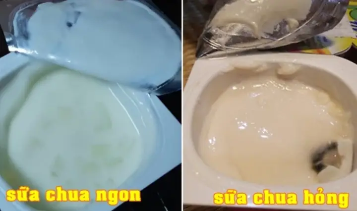 Làm Sữa Chua Nha Đam Như Thế Nào
