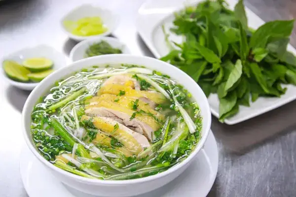 Hướng Dẫn Chi Tiết Cách Nấu Miến Gà Hà Nội Chuẩn Vị Từ A-z Hướng Dẫn Chi Tiết Cách Nấu Miến Gà Hà Nội Chuẩn Vị Từ A-z