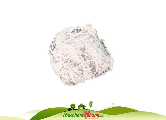 Mỡ Chài Mua Ở Đâu? Top Địa Chỉ Bán Mỡ Chài Tươi Sạch 2026 Mỡ Chài Mua Ở Đâu? Top Địa Chỉ Bán Mỡ Chài Tươi Sạch 2026