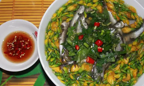 Bông Điên Điển: Đặc Sản Mùa Nước Nổi Miền Nam & Cách Chế Biến Ngon