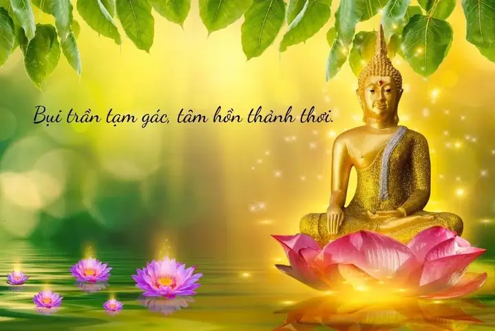 Mùng 1 Tết Ăn Chay: Tập Quán Tốt Đẹp Và Cách Nấu Ăn Chay Ngon Mùng 1 Tết Ăn Chay: Tập Quán Tốt Đẹp Và Cách Nấu Ăn Chay Ngon