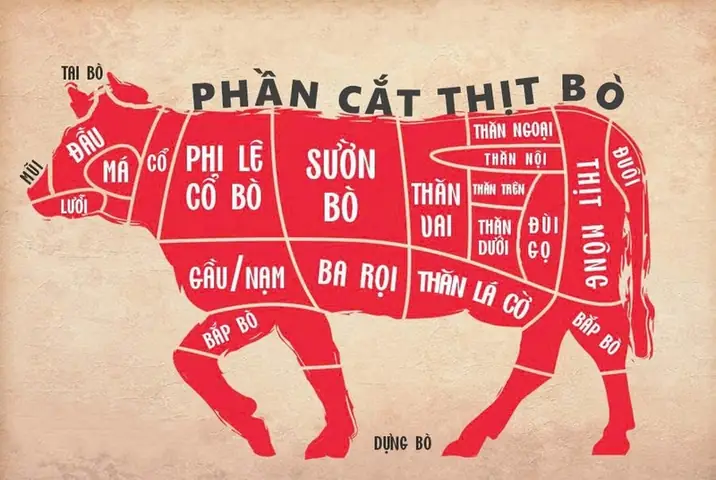 Nạm Bò Là Gì? Hướng Dẫn Chọn Mua & Nấu Ăn Chuẩn Vị