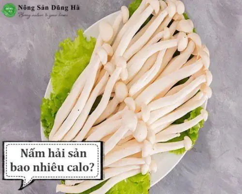 Nấm Hải Sản Bao Nhiêu Calo? Điều Cần Biết Để Ăn Healthy Hiệu Quả