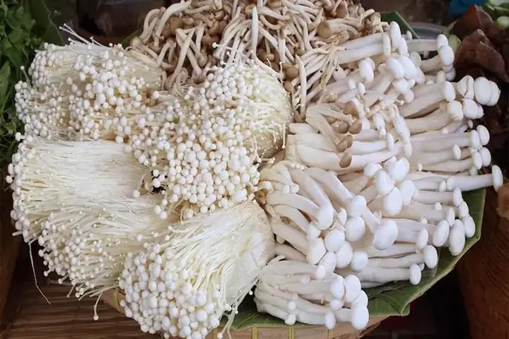 Nấm Kim Châm Để Tủ Lạnh Được Bao Lâu? Bí Quyết Bảo Quản Giòn Ngon Tuyệt Đối