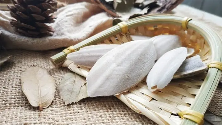 Nang Mực Dùng Để Làm Gì Và Cách Sử Dụng Hiệu Quả Trong Đời Sống