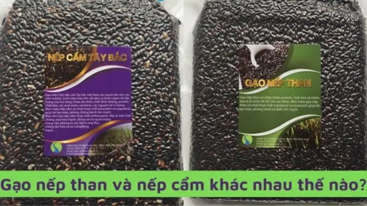 Nếp Cẩm Và Nếp Than: Phân Biệt Chi Tiết, Giá Trị Sức Khỏe & Cách Dùng Thông Minh Nếp Cẩm Và Nếp Than: Phân Biệt Chi Tiết, Giá Trị Sức Khỏe & Cách Dùng Thông Minh