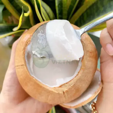 Top 7 Nơi Bán Rau Câu Trái Dừa Ngon Uy Tín Nhất Tp.hcm Top 7 Nơi Bán Rau Câu Trái Dừa Ngon Uy Tín Nhất Tp.hcm