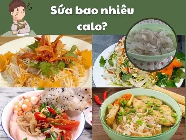 Nộm Sứa Bao Nhiêu Calo Nộm Sứa Bao Nhiêu Calo