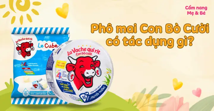 Phô Mai Con Bò Cười Làm Từ Gì