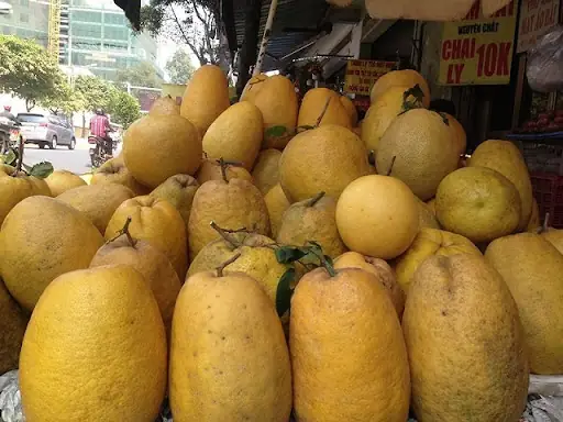 Quả Bòng Và Quả Bưởi Quả Bòng Và Quả Bưởi