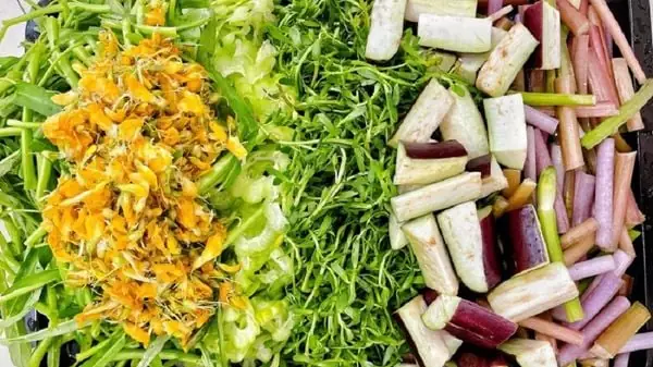 Bí Quyết Chọn Rau Ăn Lẩu Miền Tây Chuẩn Vị Sông Nước