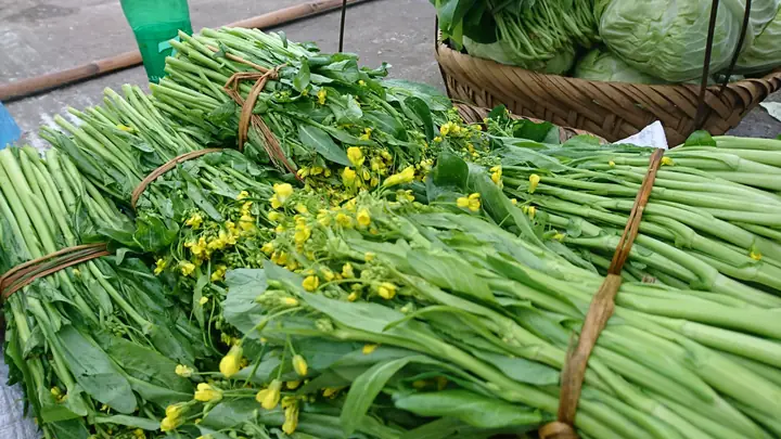 Cải Ngồng Lạng Sơn - Bí Quyết Chọn Mua Và Chế Biến Món Ngon Cải Ngồng Lạng Sơn - Bí Quyết Chọn Mua Và Chế Biến Món Ngon