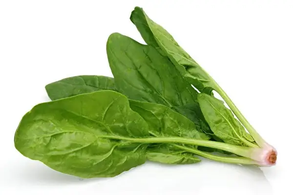 Rau Spinach Là Rau Gì Rau Spinach Là Rau Gì