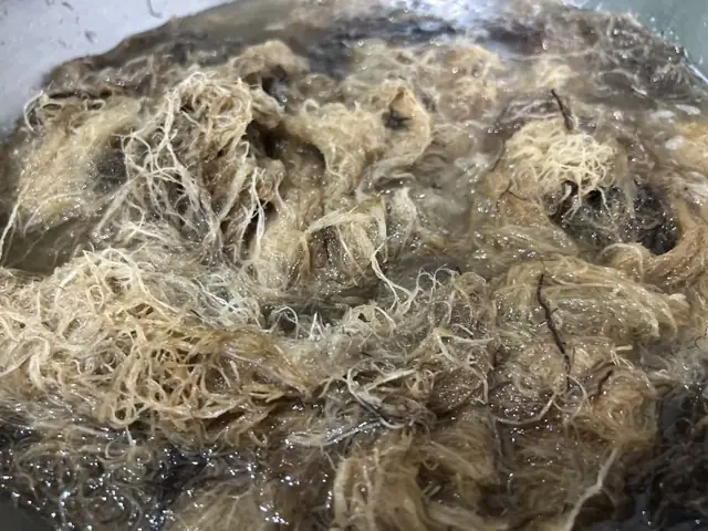 Bí Quyết Dùng Rong Biển Nấu Xu Xoa Chuẩn Vị Miền Trung Tại Nhà