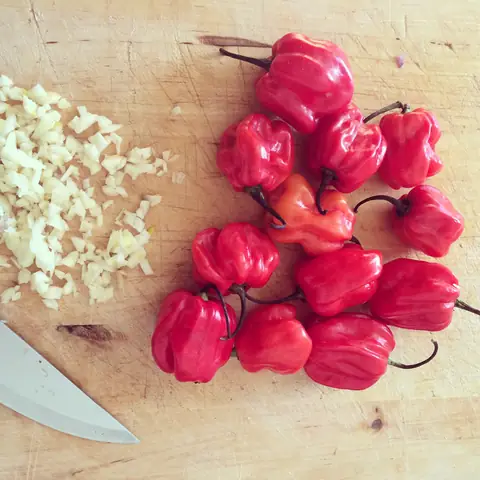 Hướng Dẫn Làm Nước Sốt Ớt Scotch Bonnet Chuẩn Vị Tại Nhà