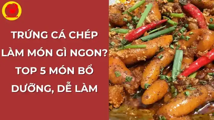 Trứng Cá Chép: 4 Tác Dụng Vàng Cho Sức Khỏe Và Cách Dùng An Toàn Trứng Cá Chép: 4 Tác Dụng Vàng Cho Sức Khỏe Và Cách Dùng An Toàn