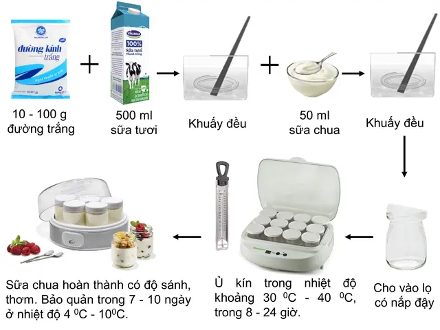Tại Sao Làm Sữa Chua Không Nên Dùng Sữa Chua Có Đường? Tại Sao Làm Sữa Chua Không Nên Dùng Sữa Chua Có Đường?