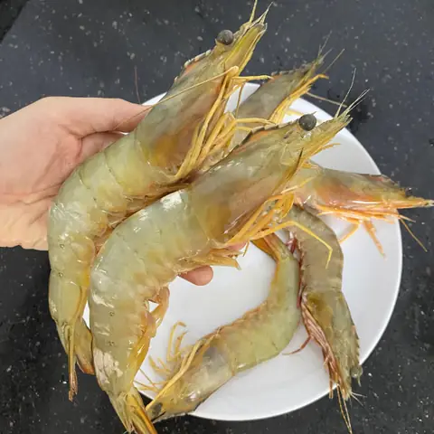 Tôm He Là Gì? Đặc Điểm Nhận Biết & Công Thức Nấu Ăn Tôm He Là Gì? Đặc Điểm Nhận Biết & Công Thức Nấu Ăn