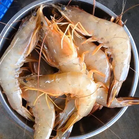 Tôm He Là Gì? Đặc Điểm Nhận Biết & Công Thức Nấu Ăn Tôm He Là Gì? Đặc Điểm Nhận Biết & Công Thức Nấu Ăn