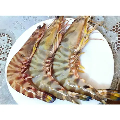 Tôm He Là Gì? Đặc Điểm Nhận Biết & Công Thức Nấu Ăn Tôm He Là Gì? Đặc Điểm Nhận Biết & Công Thức Nấu Ăn