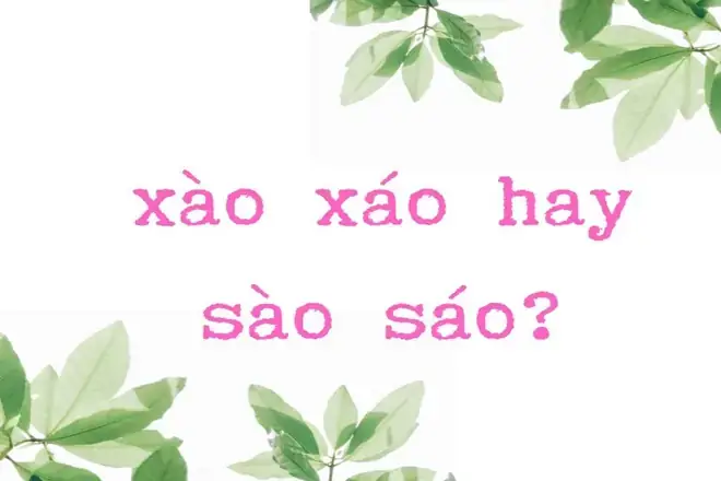 Xào Nấu Hay Sào Nấu: Cách Viết Đúng Và Bí Quyết Xào Ngon Chuẩn Đầu Bếp