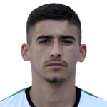 V. Vasilev