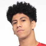 Ammar Hamdi