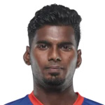 S. Narayanan
