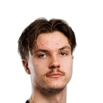 L. Väyrynen