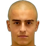 M. Bachev