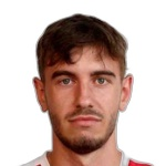 N. Mikulic