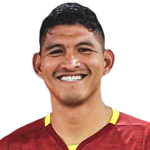 Y. Vallejos