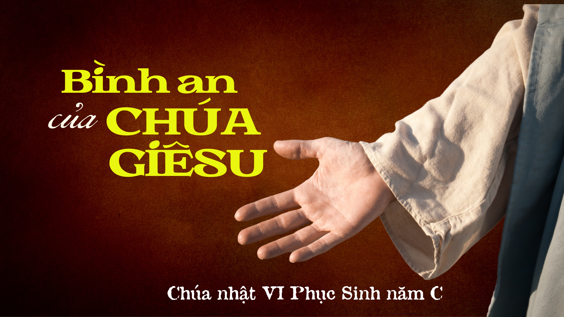 Đón Nhận Lời Chúa: Nguồn Sống, Ánh Sáng và Lời Chỉ Dẫn Cho Cuộc Đời