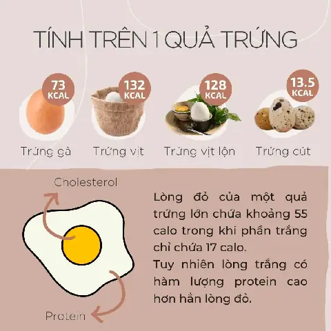 Ăn Trứng Cút Có Giảm Cân Không? Lợi Ích, Calo Và Cách Ăn Đúng Ăn Trứng Cút Có Giảm Cân Không? Lợi Ích, Calo Và Cách Ăn Đúng