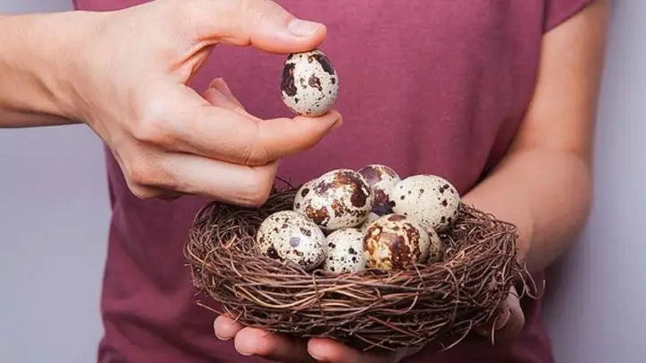 Ăn Trứng Cút Có Giảm Cân Không? Lợi Ích, Calo Và Cách Ăn Đúng Ăn Trứng Cút Có Giảm Cân Không? Lợi Ích, Calo Và Cách Ăn Đúng